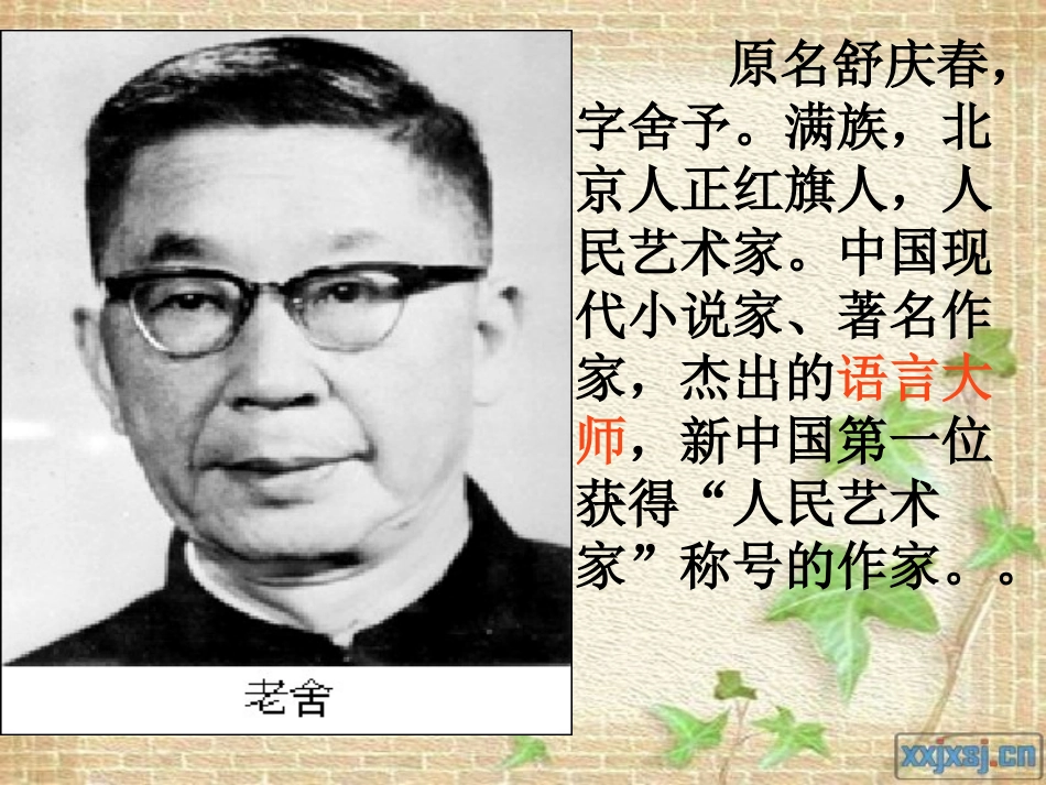 《猫》老舍(公开课课件)_第3页