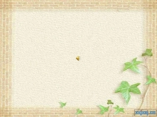 《猫》老舍(公开课课件)