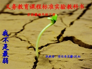 王虹我不是最弱小的