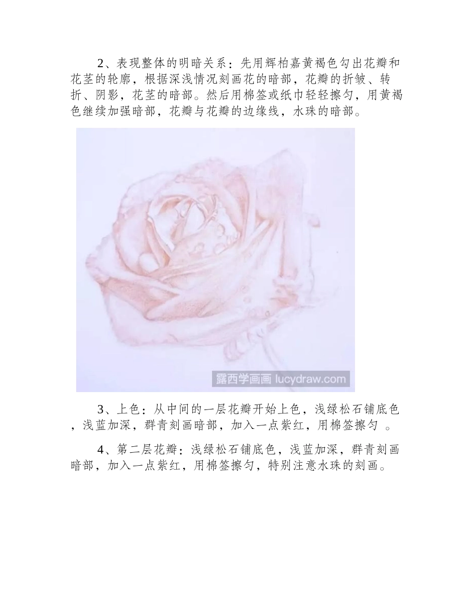 玫瑰花彩铅画怎么画_教你画一束蓝色妖姬彩铅画教程_第2页