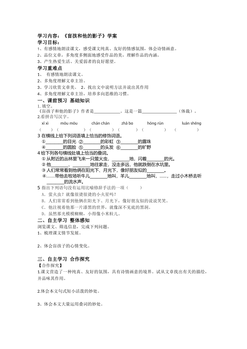 【名师原创】《盲孩和他的影子》学案_第1页