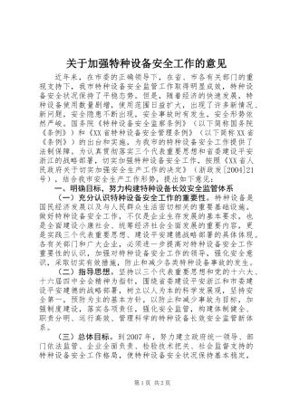 关于加强特种设备安全工作的意见 (2)