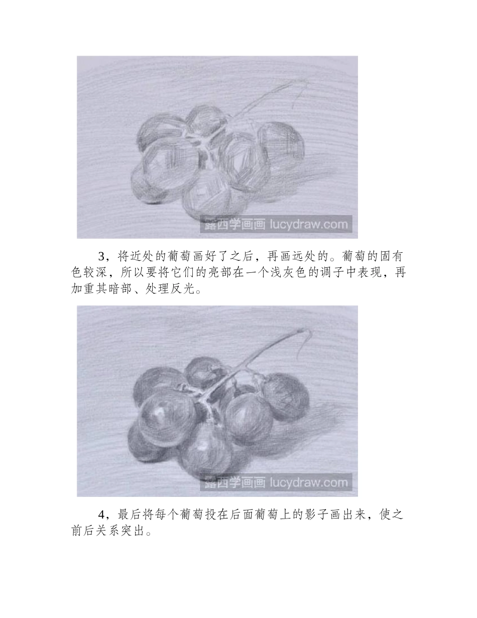 美味葡萄素描教程素描教程2_第2页