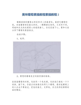 美味葡萄素描教程素描教程2