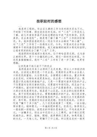 挂职驻村的感想 