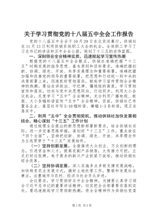 关于学习贯彻党的十八届五中全会工作报告