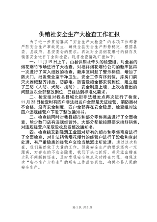 供销社安全生产大检查工作汇报
