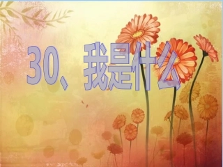 人教版小学二年级语文上册30《我是什么》PPT课件