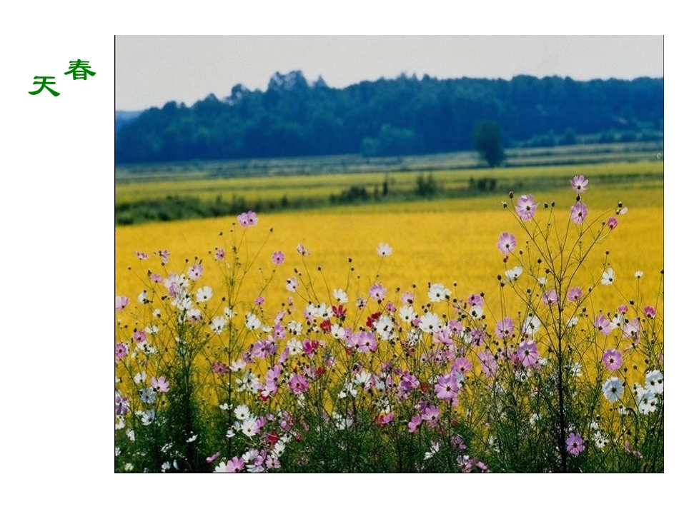 一下《语文园地一》_第2页