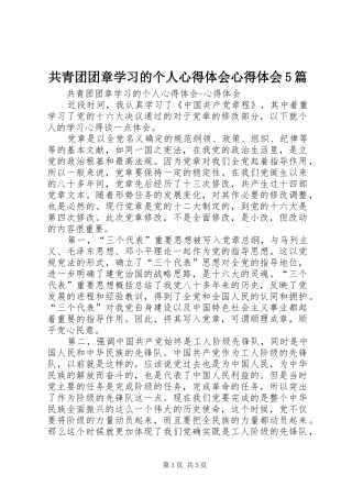 共青团团章学习的个人心得体会心得体会5篇