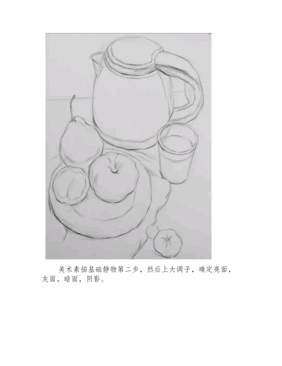 美术素描基础静物素描教程1_第2页