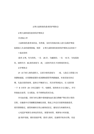 2例大面积烧伤患者的护理体会