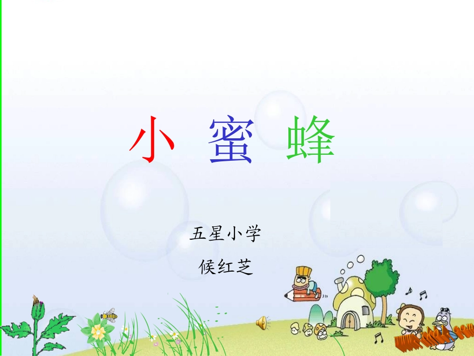 小蜜蜂候红芝_第1页