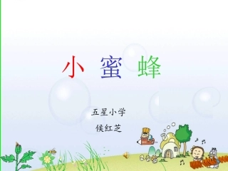 小蜜蜂候红芝