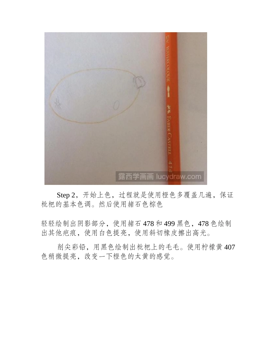 枇杷果彩铅画教程彩铅画教程_第2页