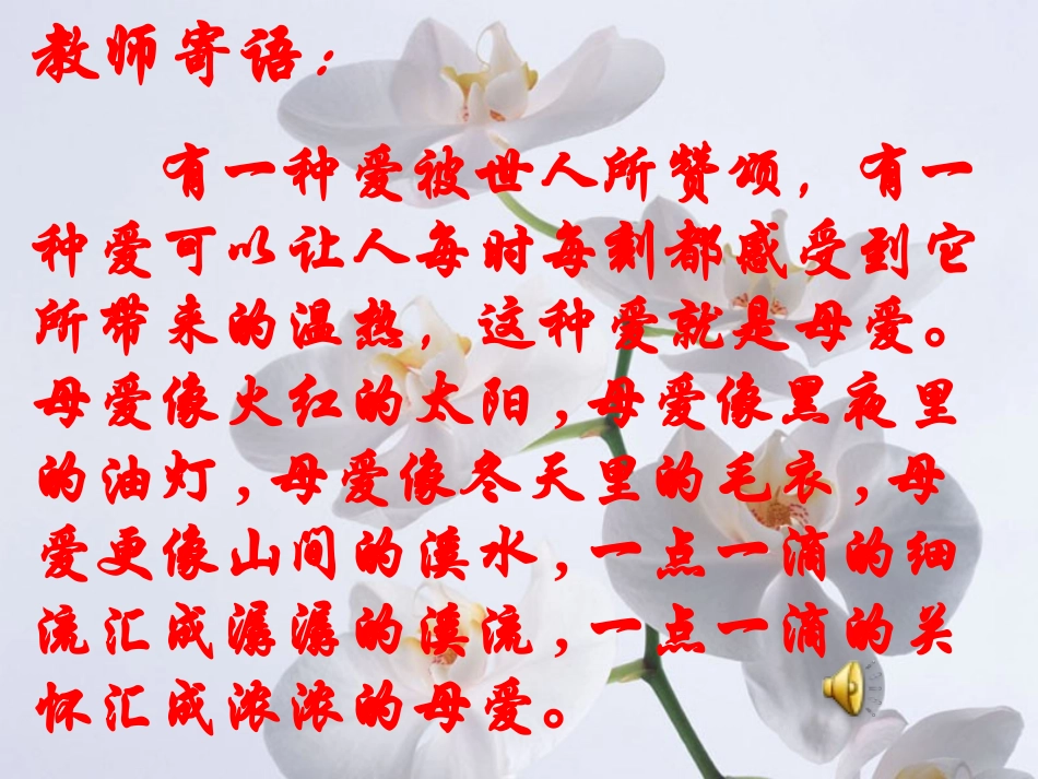 冰心荷叶母亲课件_第1页