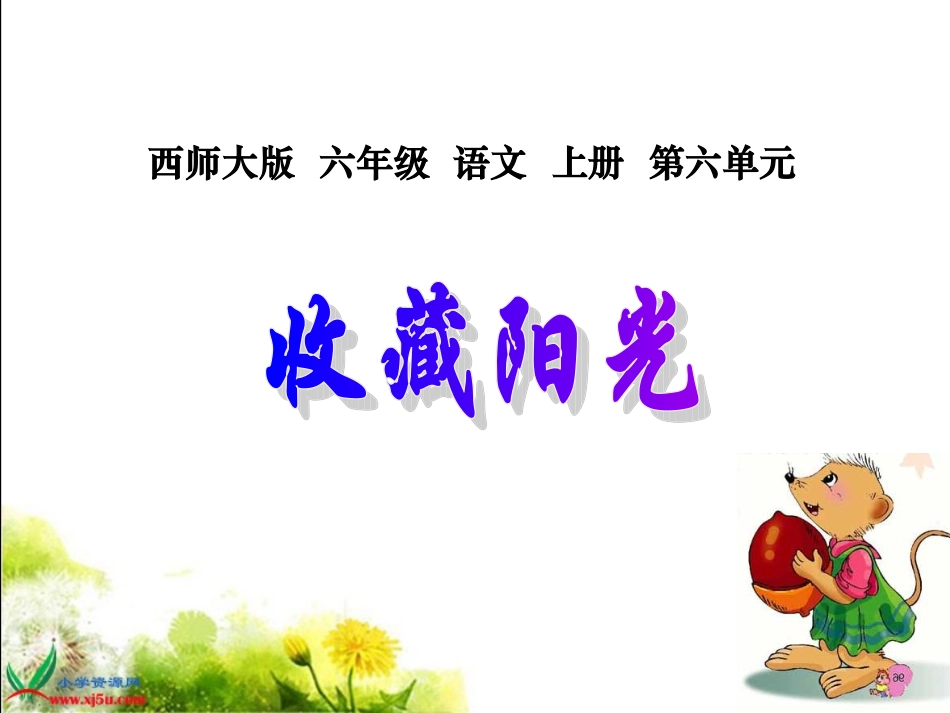 收藏阳光_1_第1页