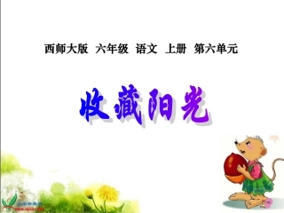 收藏阳光_1