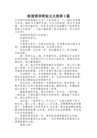 街道领导简短元旦致辞3篇