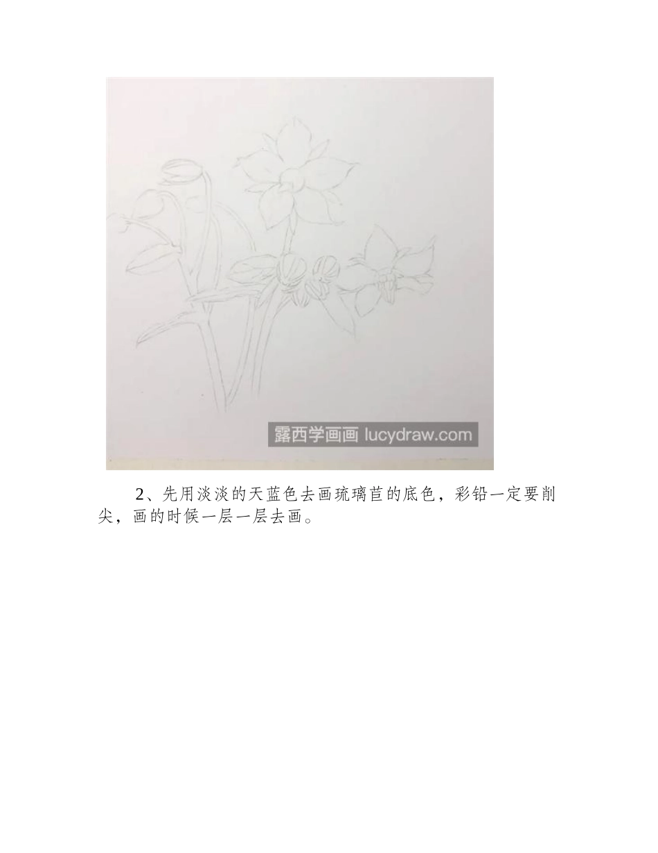 琉璃苣怎么画_简单的彩铅画法是什么_彩铅画教程_第2页