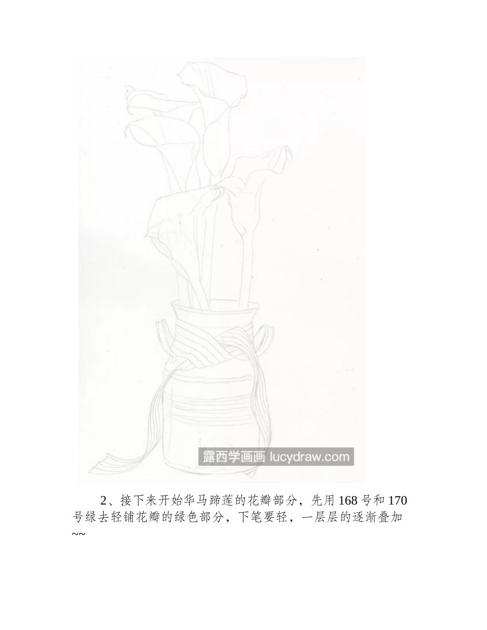 马蹄莲怎么画_如何画白色的物体_彩铅画教程_第2页