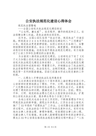 公安执法规范化建设心得体会 