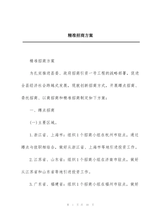 精准招商方案