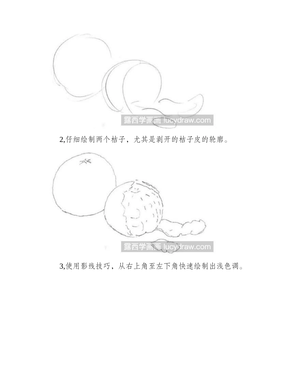 桔子素描教程素描教程_第2页