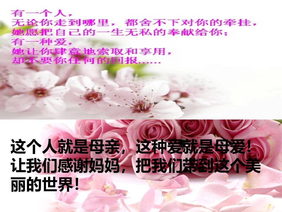 杨白杨母亲节主题班会课件_第3页