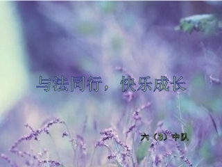 与法同行健康成长班会