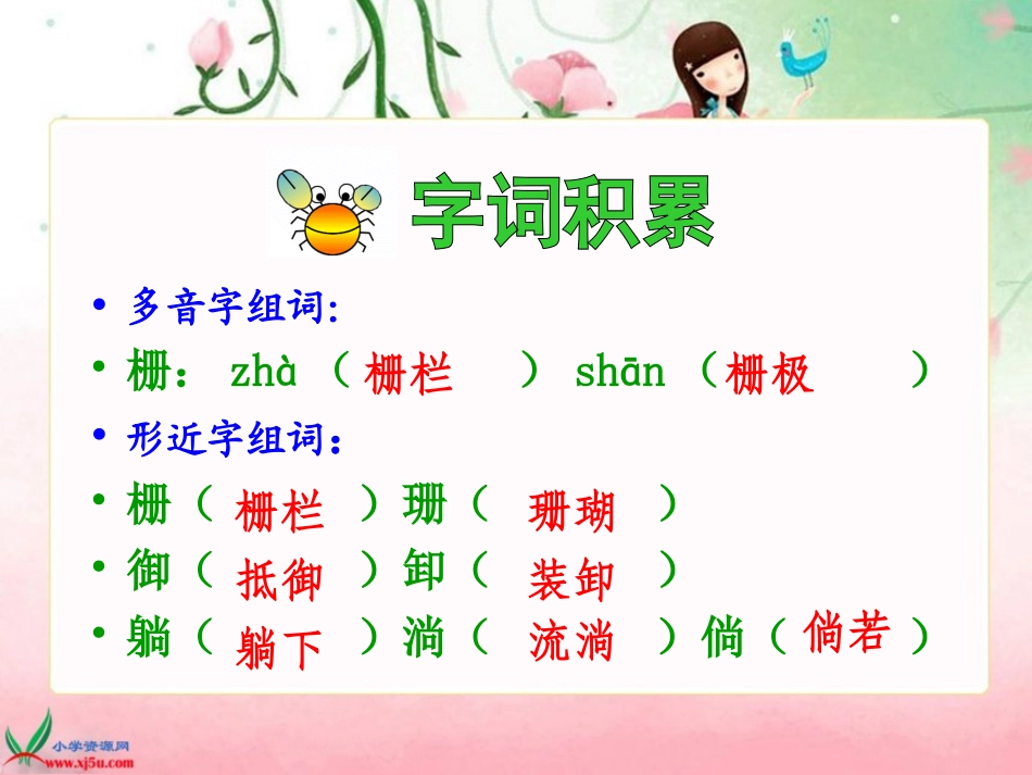 北师大版五年级语文上册《红树林》PPT课件_第3页