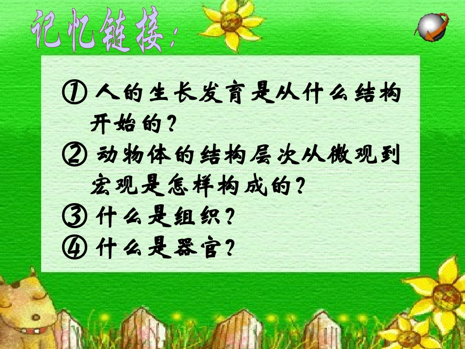 植物体的层次结构课件_第2页
