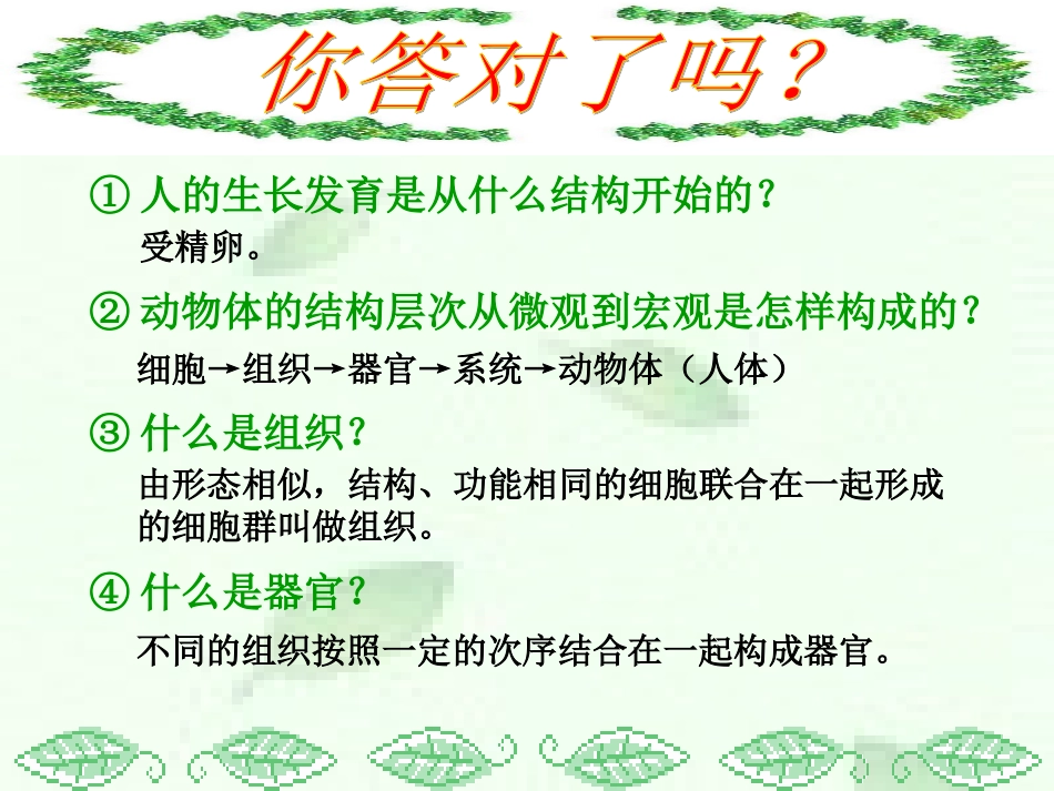 植物体的层次结构课件_第3页