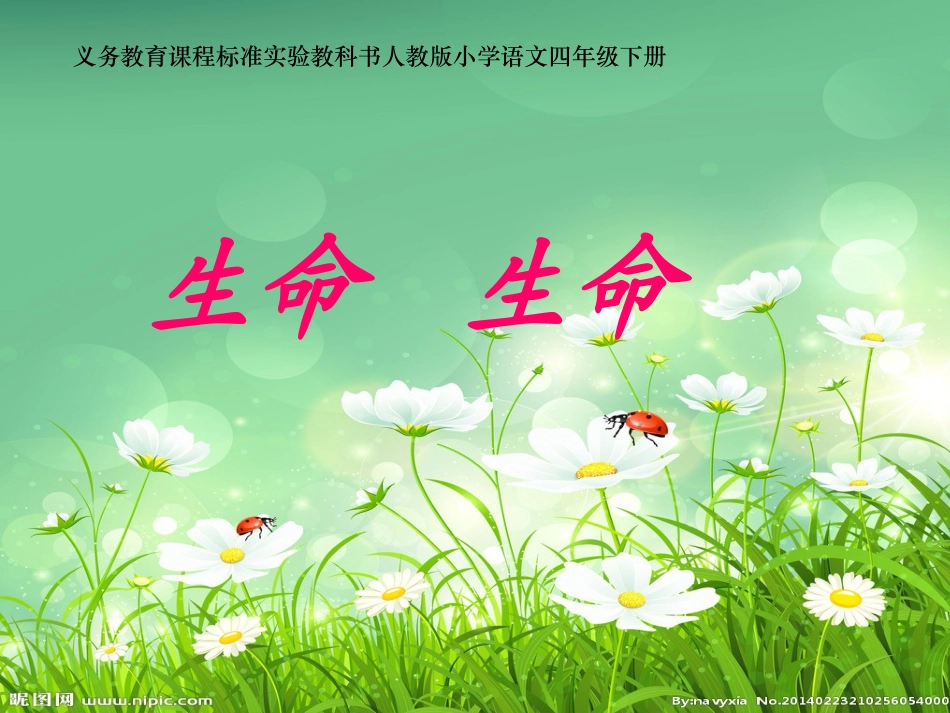 《生命生命》自制课件3_第2页