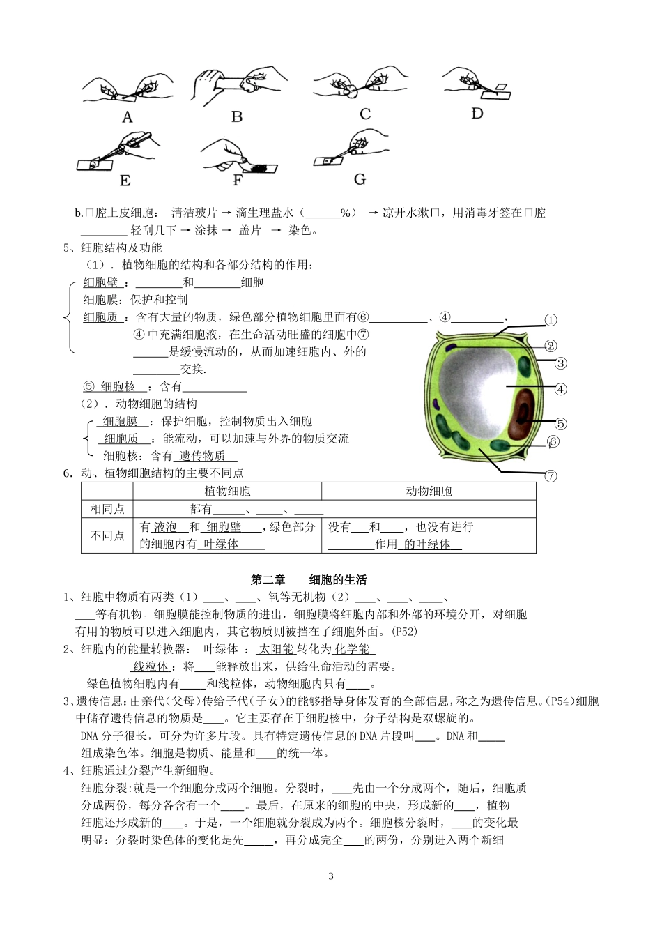 人教版初中生物总复习(提纲)_第3页