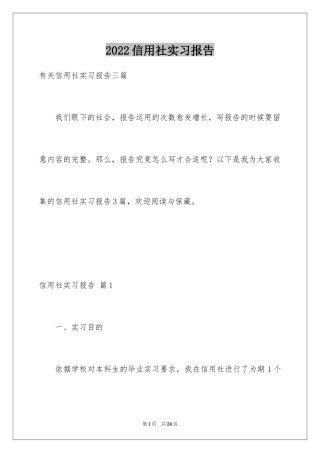 2024信用社实习报告_5