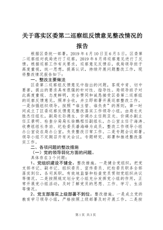 关于落实区委第二巡察组反馈意见整改情况的报告 (2)