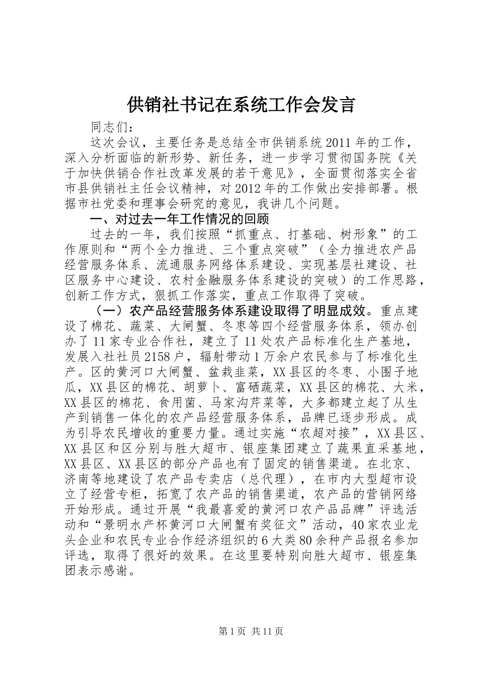 供销社书记在系统工作会发言_第1页