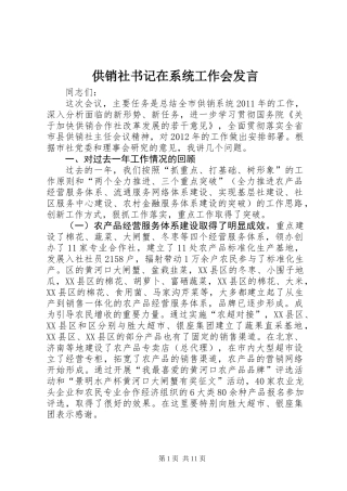 供销社书记在系统工作会发言