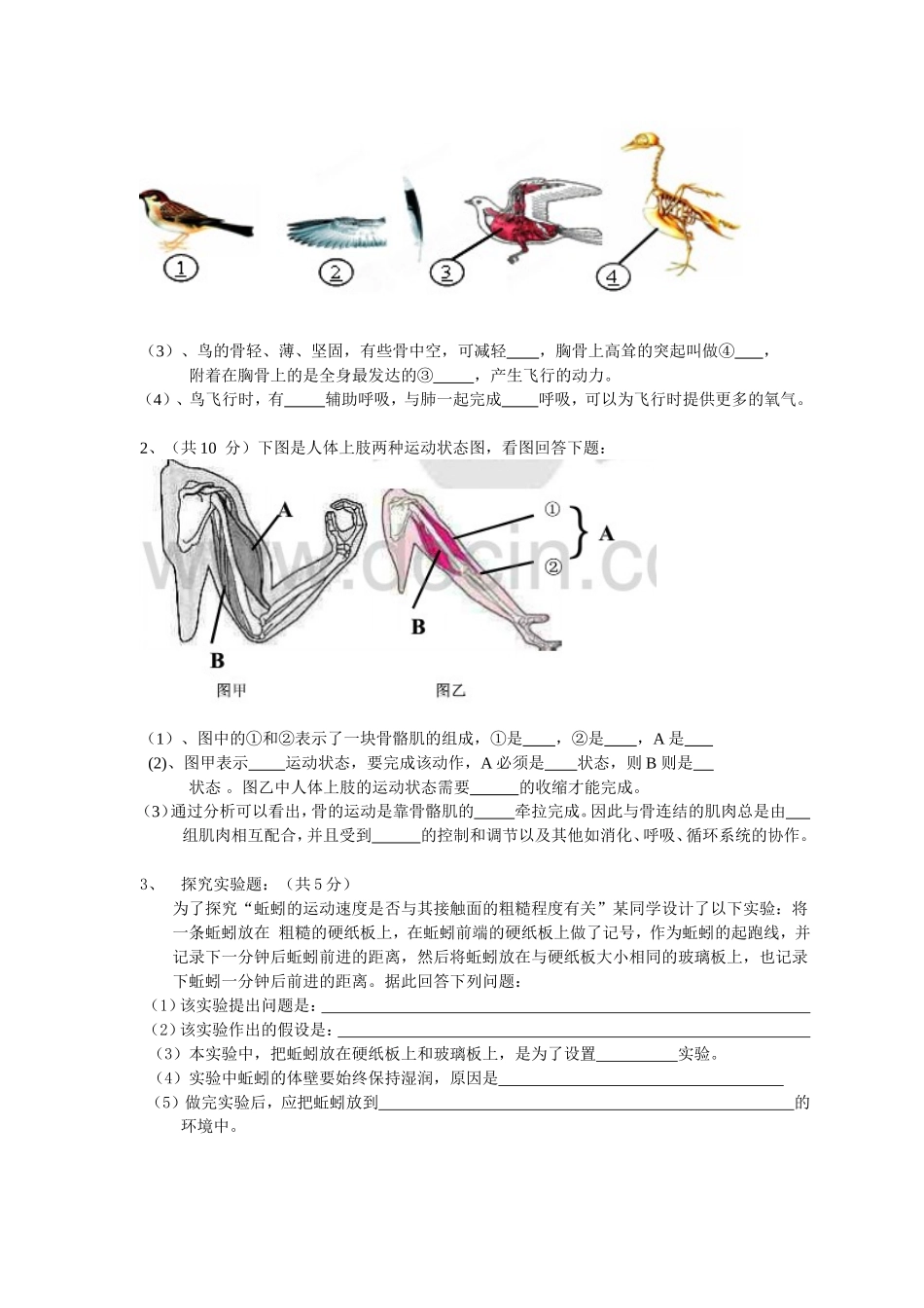 2014年秋季八上期中考试生物试题_第2页
