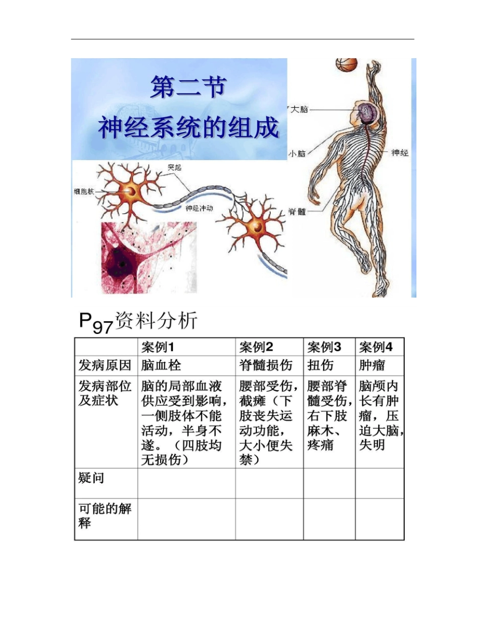 2神经系统的组成解答_第1页