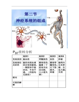 2神经系统的组成解答