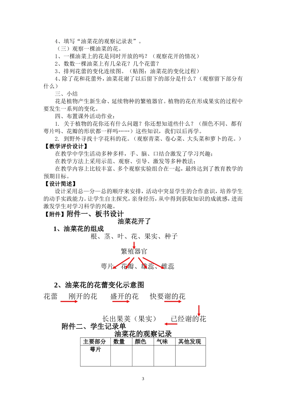 四年级下册《油菜花开了》教学设计_第3页