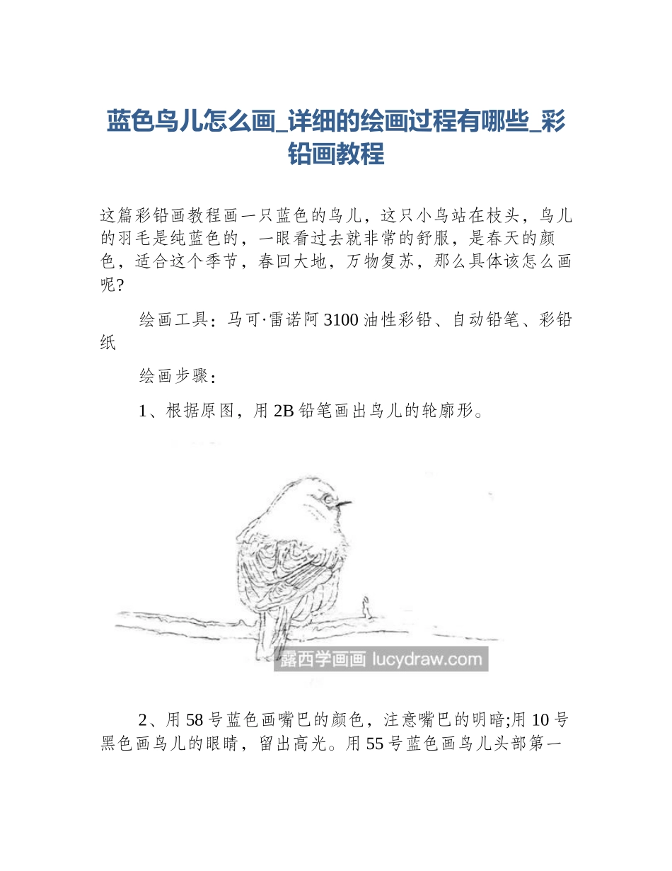 蓝色鸟儿怎么画_详细的绘画过程有哪些_彩铅画教程_第1页