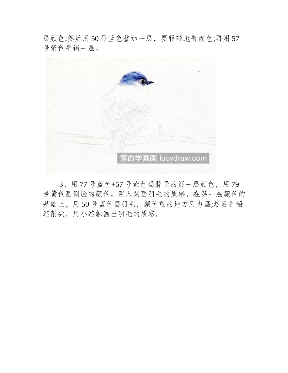 蓝色鸟儿怎么画_详细的绘画过程有哪些_彩铅画教程_第2页