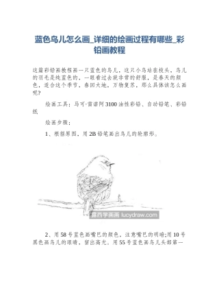 蓝色鸟儿怎么画_详细的绘画过程有哪些_彩铅画教程