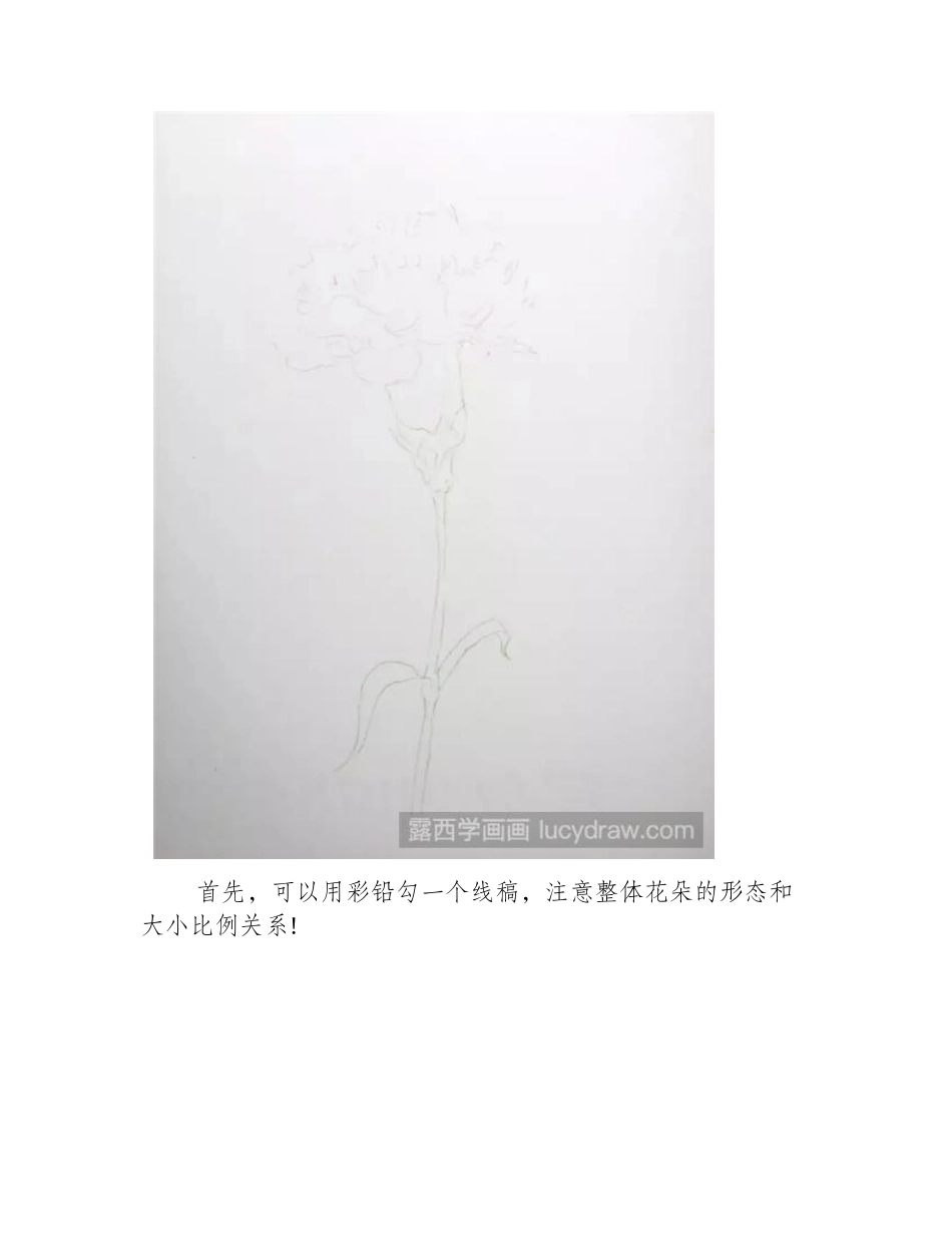 康乃馨彩铅怎么画彩铅画教程_第2页