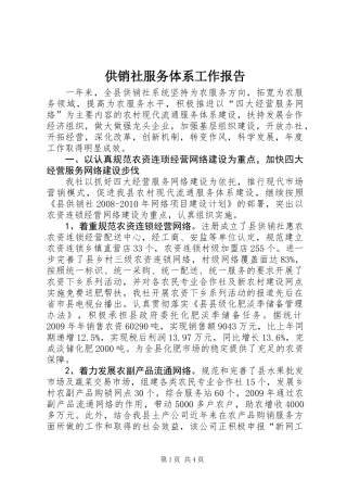 供销社服务体系工作报告