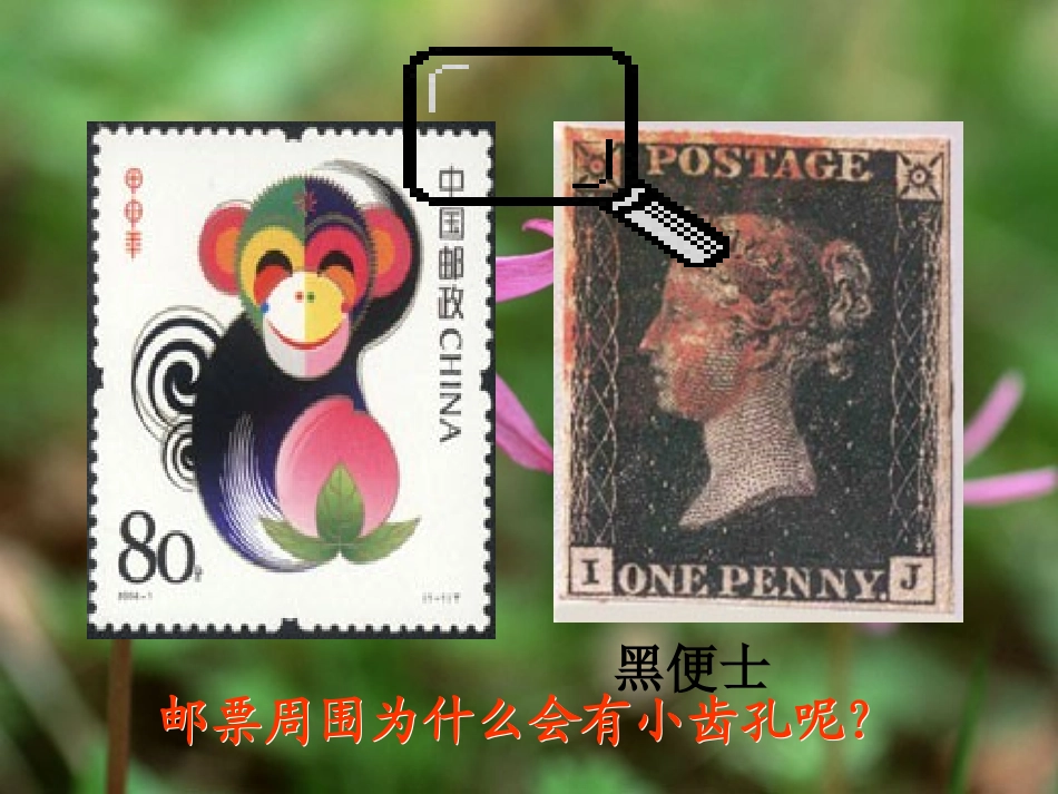 人教版二年级下册语文第14课《邮票齿孔的故事》课件_第3页