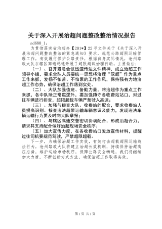 关于深入开展治超问题整改整治情况报告 (2)